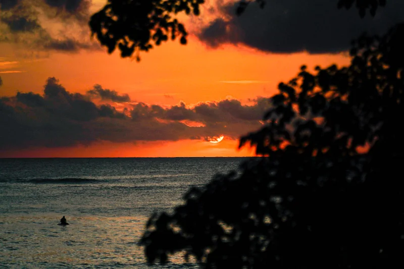 The sun setting into the sea behind dark clouds, framed by silhouetted leaves, a lone surfer waiting in the water.