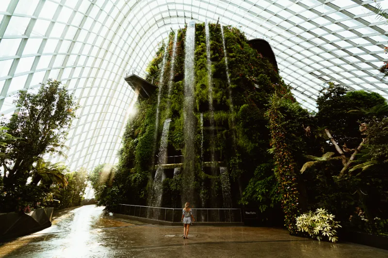A woman standing small at the foot of the Cloud Forest waterfall under a glass dome.